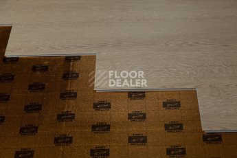 Tarkett Funky House Ricon фото 2 | FLOORDEALER